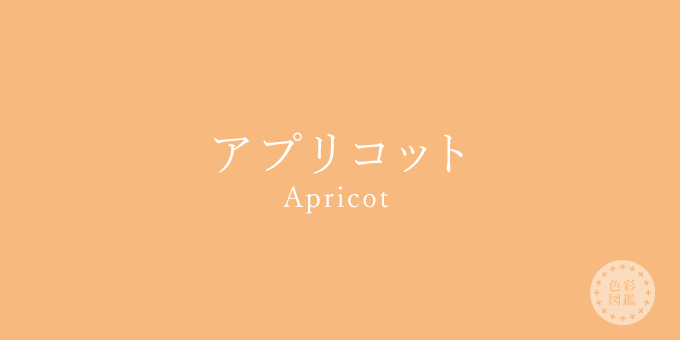 アプリコット Apricot の色見本 色彩図鑑 日本の色と世界の色