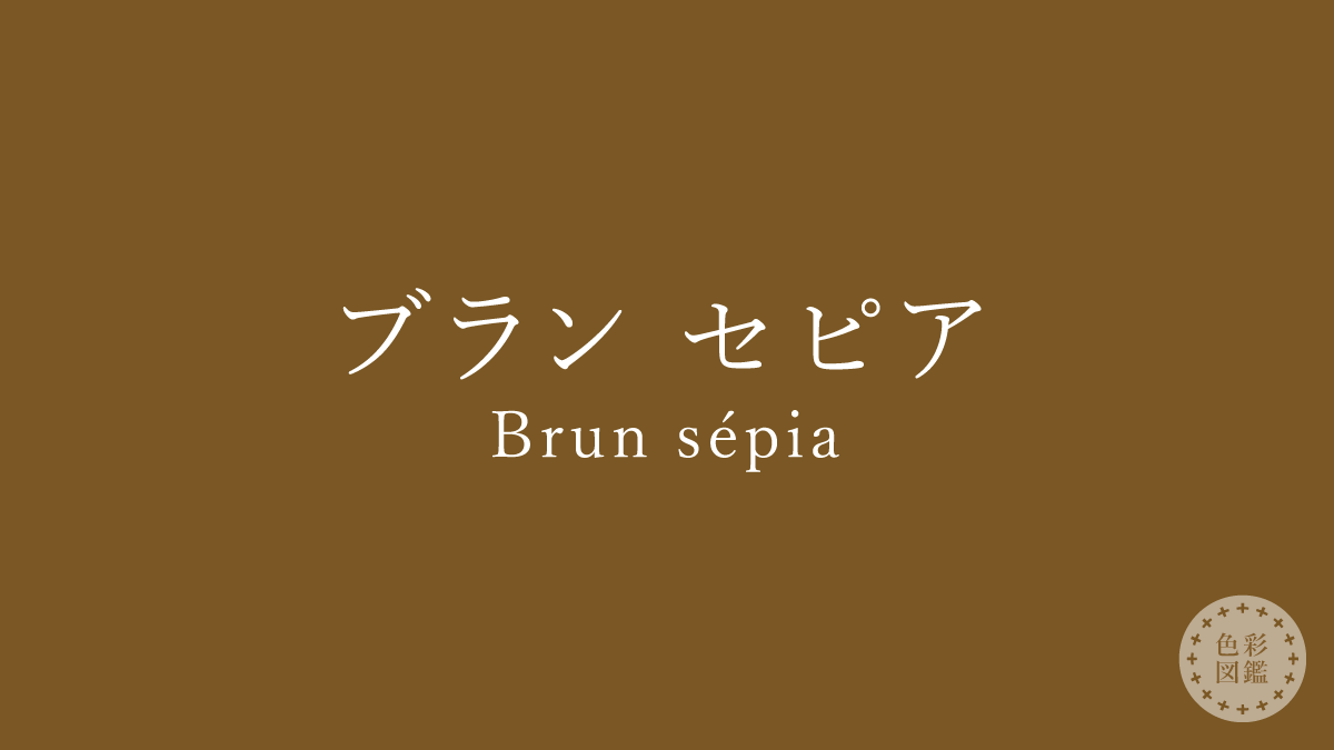 ブラン セピア（Brun sépia）の色見本