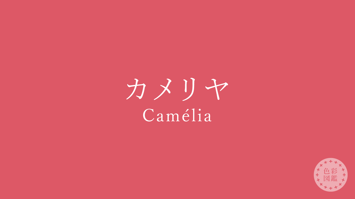 カメリヤ（Camélia）の色見本