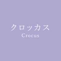 ライラック Lilac の色見本 色彩図鑑 日本の色と世界の色 カラーセラピーライフ