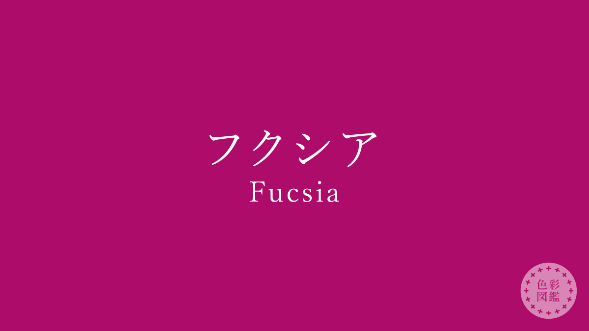 フクシア（Fucsia）の色見本