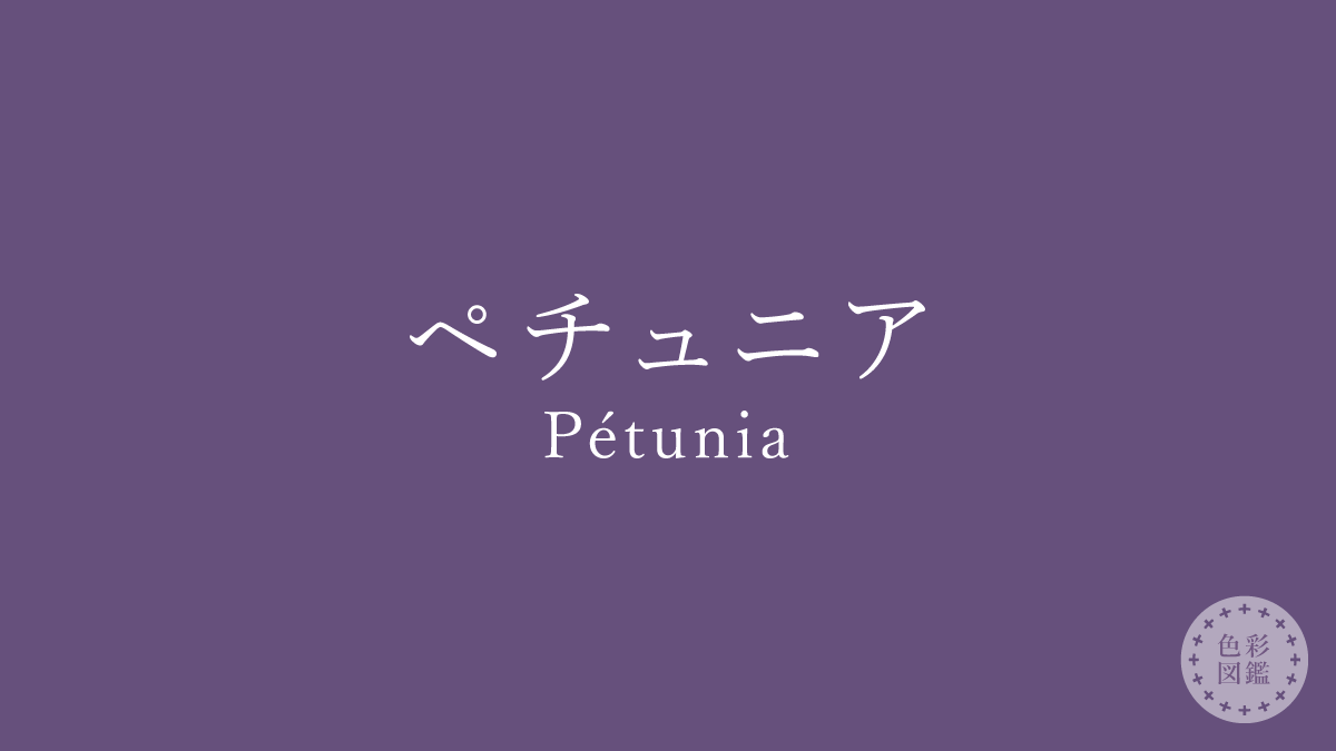 ペチュニア（Pétunia）の色見本