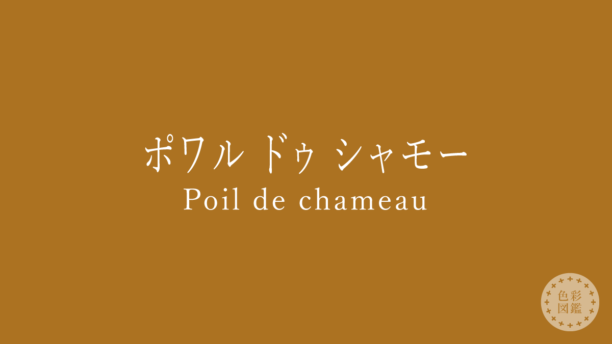 ポワル ドゥ シャモー（Poil de chameau）の色見本