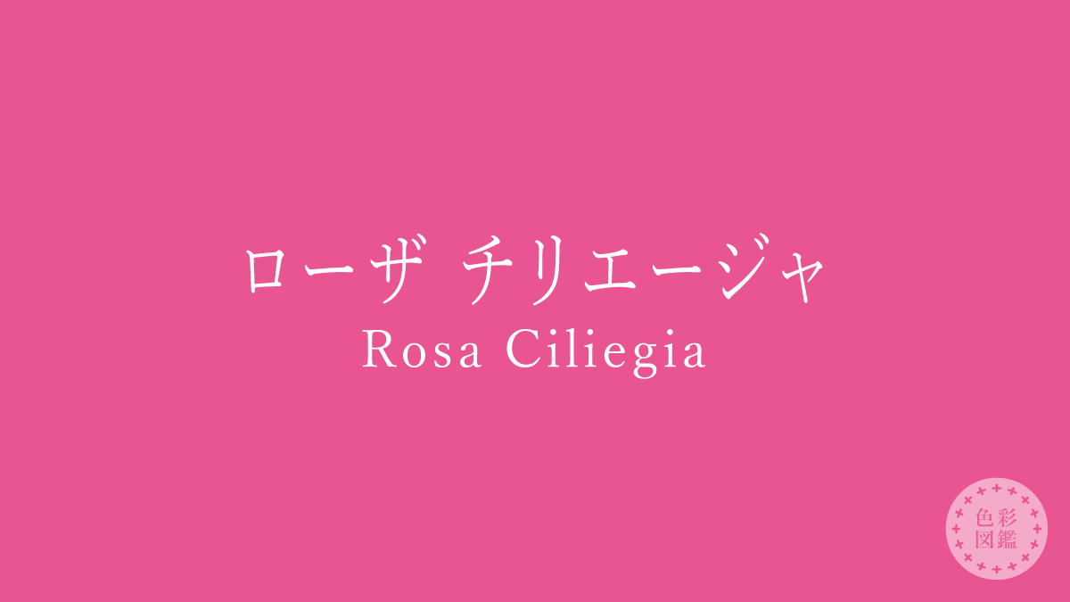 ローザ チリエージャ（Rosa Ciliegia）の色見本