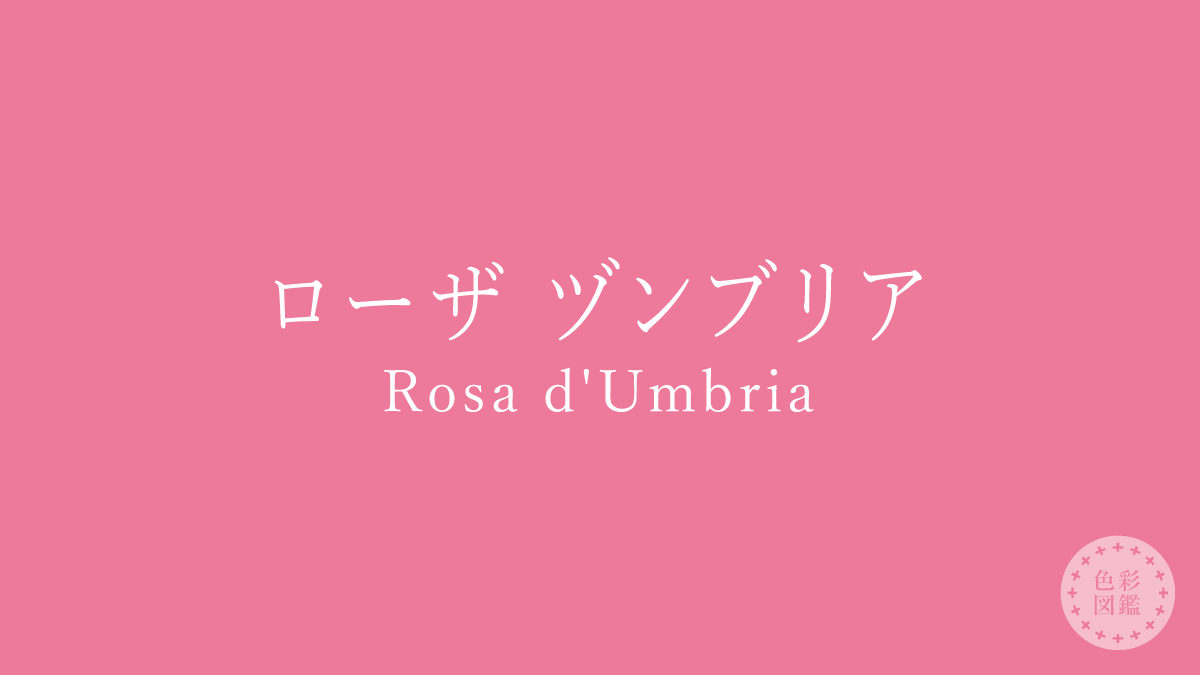 ローザ ヅンブリア（Rosa d’Umbria）の色見本