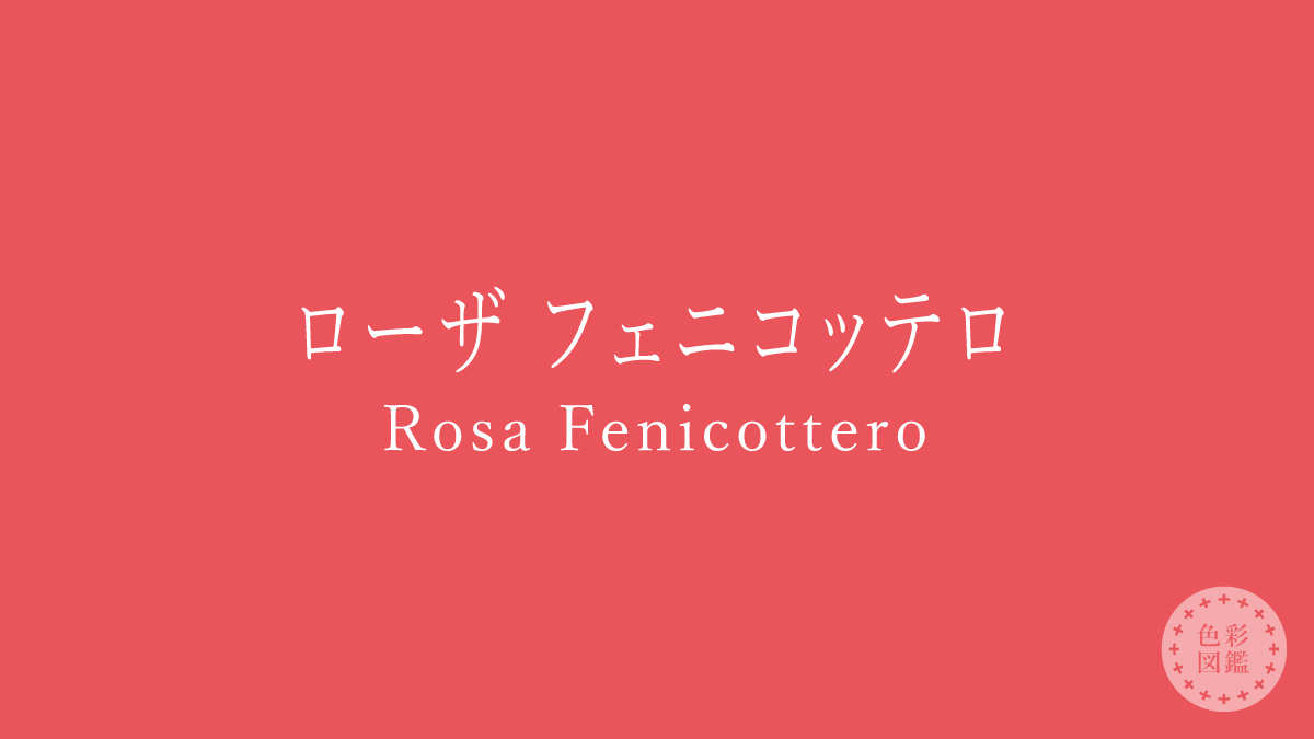 ローザ フェニコッテロ（Rosa Fenicottero）の色見本