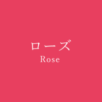 ローズレッド Rose Red の色見本 色彩図鑑 日本の色と世界の色