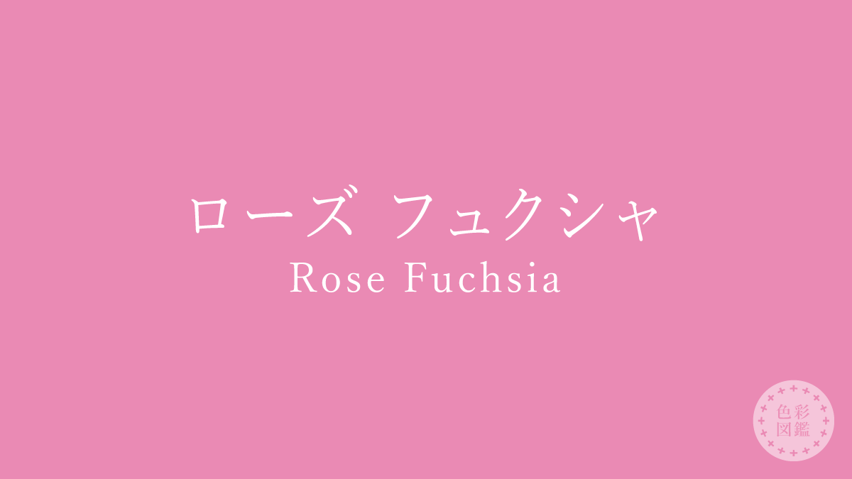 ローズ フュクシャ（Rose Fuchsia）の色見本