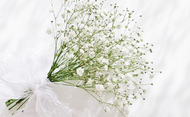 白い花の花言葉 スズラン ユリ カモミールなど カラーセラピーランド カラーライフスタイル